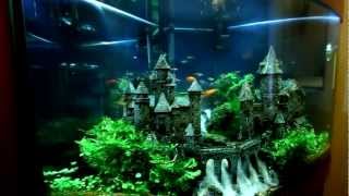 Замок(Угловой аквариум по индивидуальным размерам. Примерный объем- около 150 литров. Возраст аквариума на момент..., 2012-11-26T20:12:02.000Z)