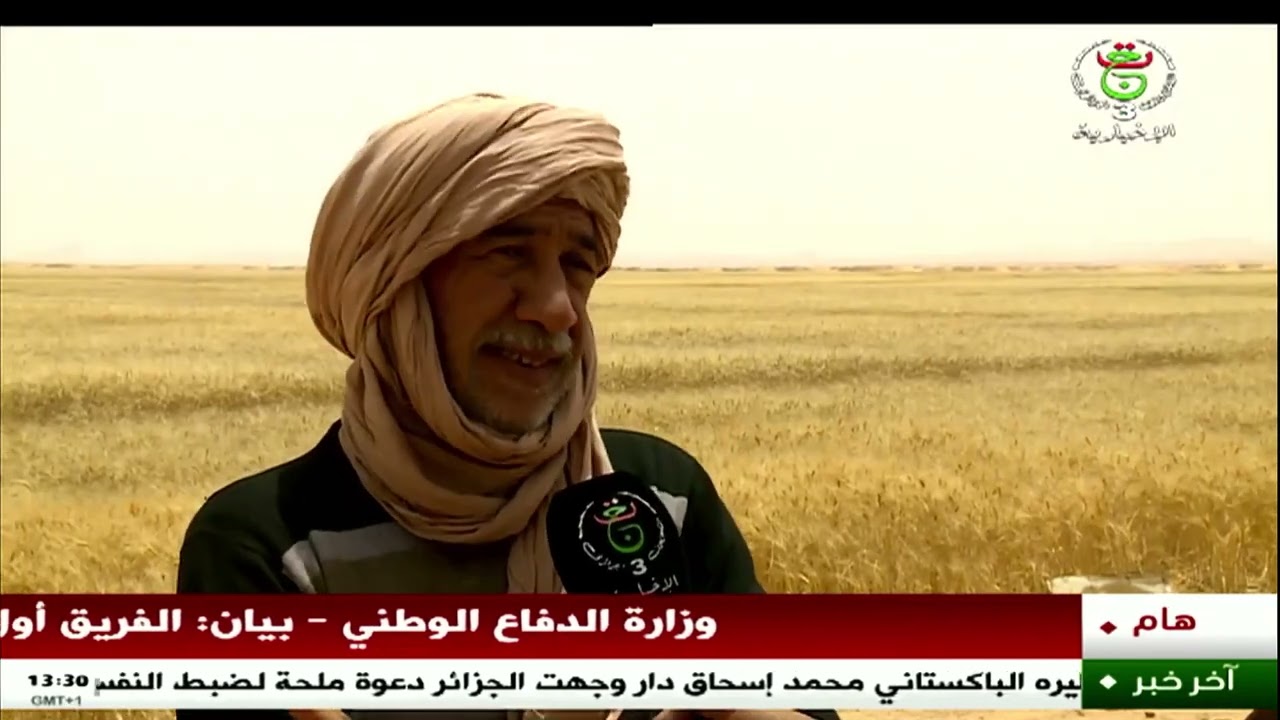 إن قزام – حصاد | منتوج وفير لمحصول الحبوب