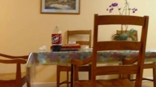 FILE0170.MOV