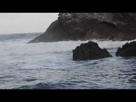 sarjana-muda---iwan-fals-(cover-yoyon)