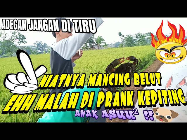 [ VLOG ] 3 PERSAHABATAN CHANNEL Mancing Belut Di Sawah Kidul class=