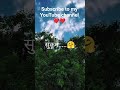 31 May 2026