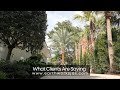 Landscaping Oasis Client Review