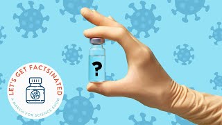 What are the DIFFERENCES between the COVID-19 vaccines (and other important questions)