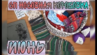 СП Носочная коробочка 20/21 | Отчёт 9 | ИЮНЬ