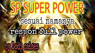 SP SUPER POWER BY DODI CALSES||RESPON FULL POWER||SP TERBAIK|| SP FUL RESPON