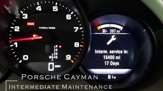 DIY Porsche Intermediate Service !!Save Money!!