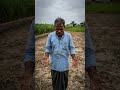 kisan sad 😭 anaj #sad #short #youtube #kisan