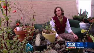 Inside the Story: Utah man creates Harry Potter-themed house