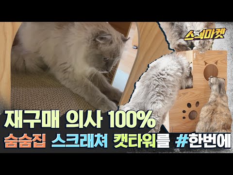 역대급 가성비 고양이 <strong>용품</strong> <strong>등장</strong>!👍 다양한 활용성과 쉬운 조립의 루어캣 숨숨집47ㅣ스웩마켓