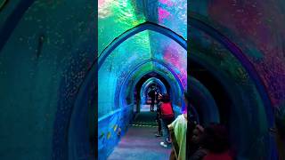 കടലിനുള്ളിലൂടെ പോയാലോ, Under water Aquarium in Ernakulam | shorts yutubeshorts underwaterworld