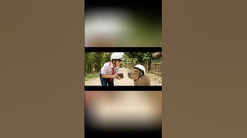 nhặt được của rơi trả người để mất #capybara #ai #veo3 #trending