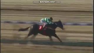 03072018 4° Carrera - |Premio Life For Sale - 1300mts.| - La Plata.