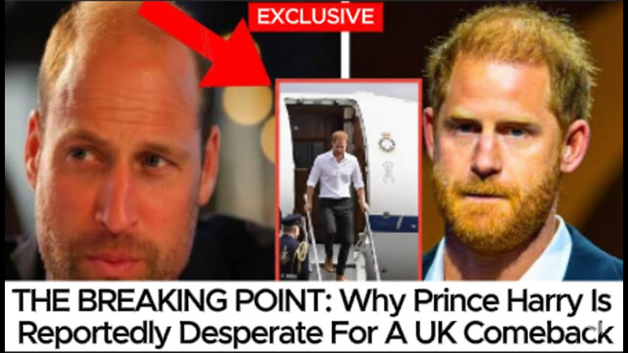 HE’S HAD ENOUGH? Prince Harry’s Reported Plan To Return To The UK Without Meghan
