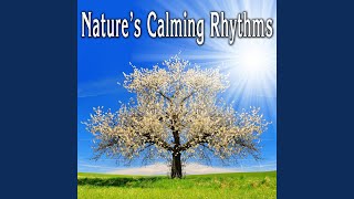 Small Wild Birds in the Morning for Self Awareness and Emotional Healing