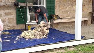 Ft. Concho Frontier Day 2023