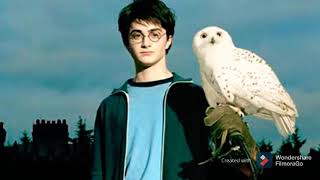 Carry Potter | The Hidden Knowledge of Self 🦉