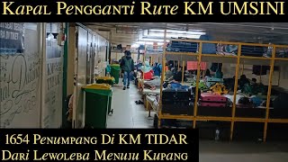 day 5 Bawa 1654 Penumpang Dari Lewoleba Ke Kupang Dengan Km Tidar