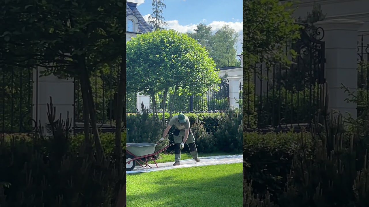 Рабочий процесс