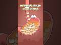The Hidden Danger of overeating