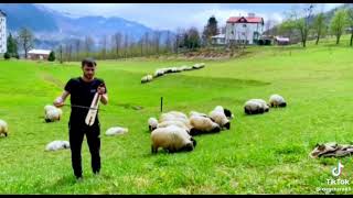 Ramazan Erdoğan - Kemençe Muhabbet