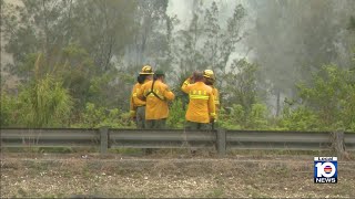 Wildfire burns 300 acres in southern Miami-Dade County