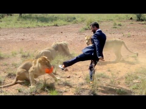 Playing Soccer with Lions | Outrageous Acts of Science