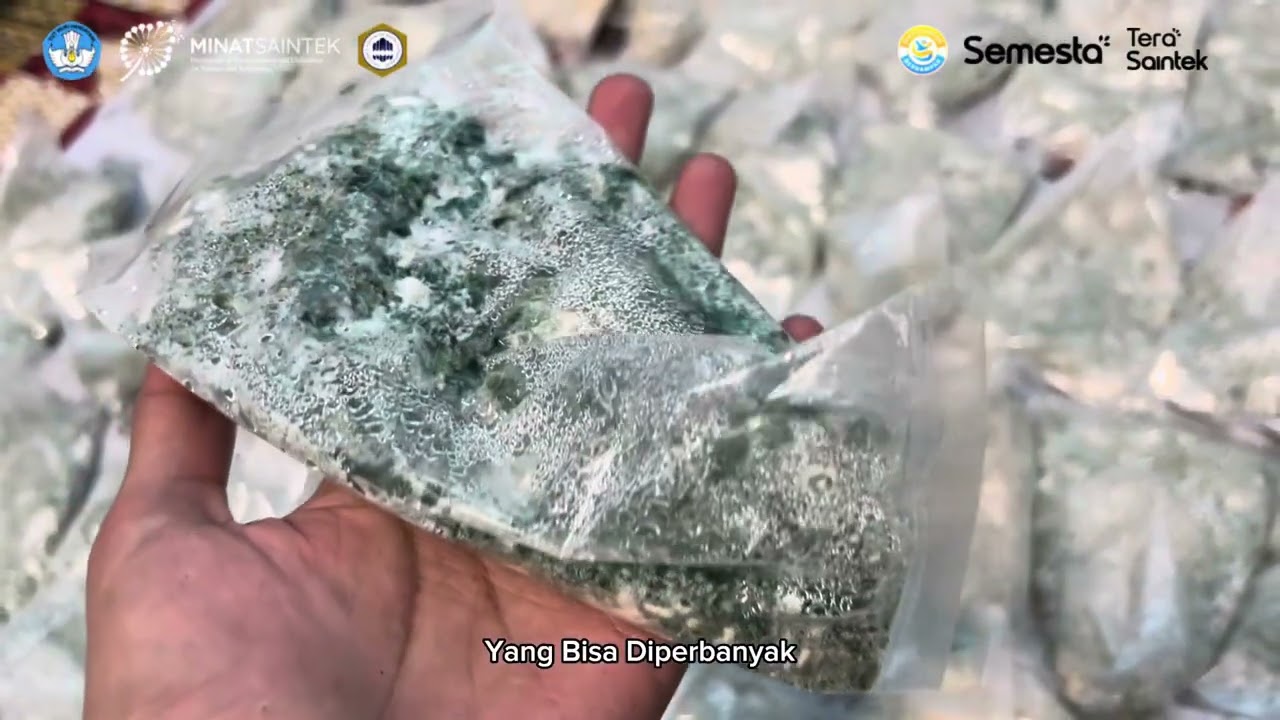 Trichoderma dan Jamur keberuntungan abadi