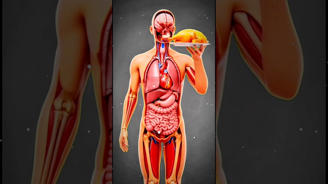 Chicken 🐣Muscle Gold