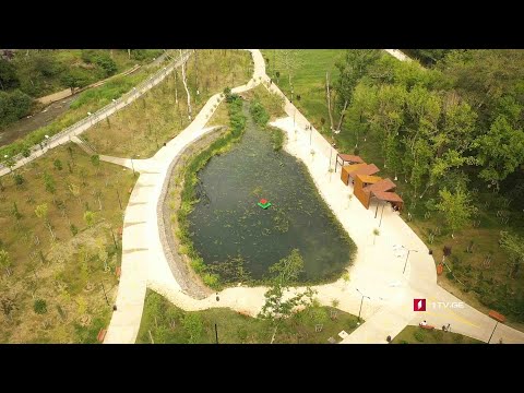 #ახალიკვირა „მზიურის“ გზა