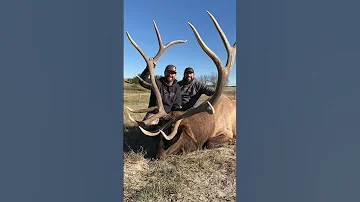 2 Big Bulls Killed In Nebraska Shot With Magview 