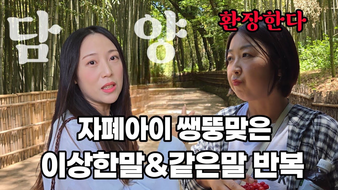 자폐아이 반향어 | 담양여행