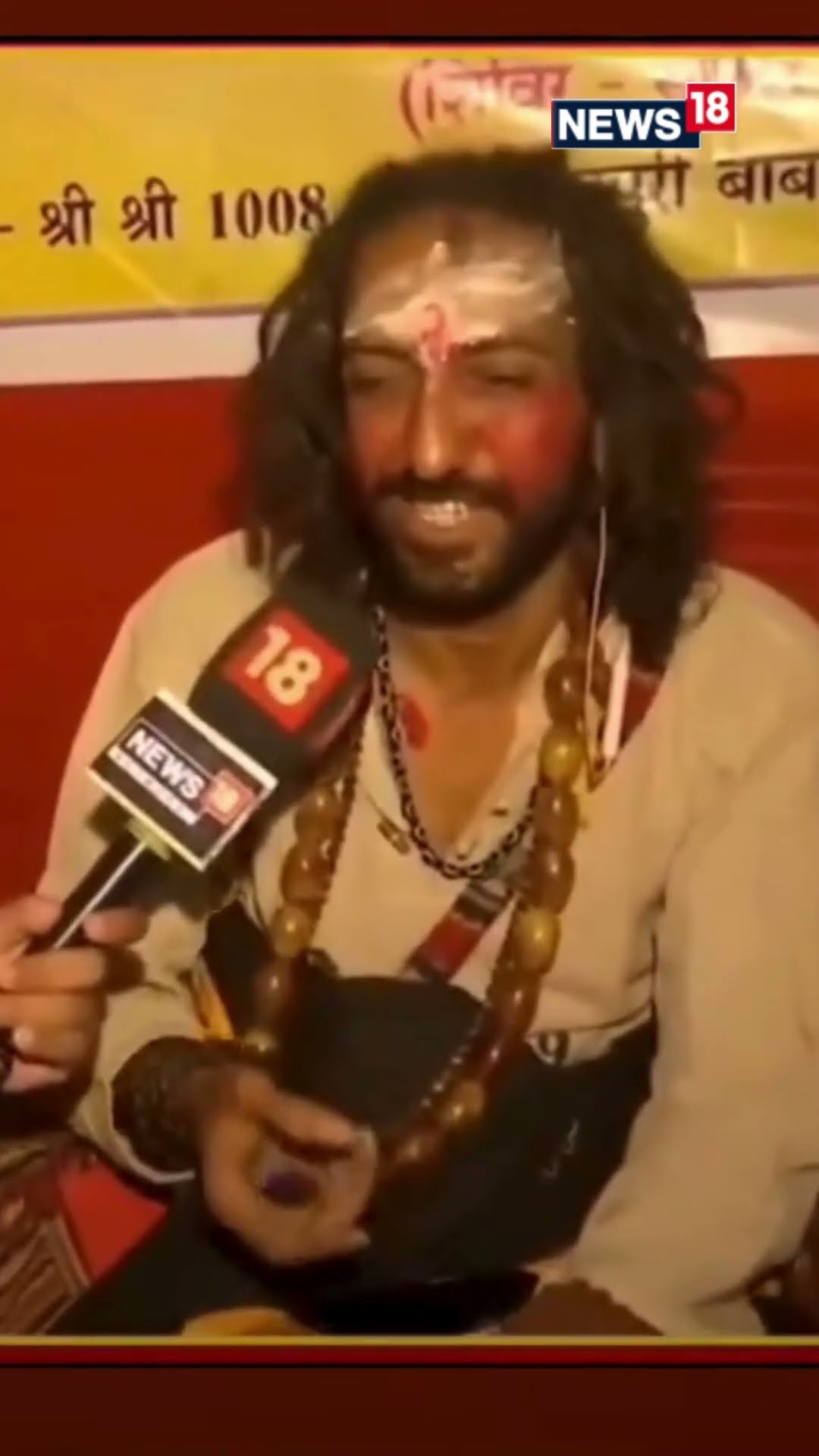 Meet IITian Baba At The Maha Kumbh, Who Did Aerospace Engineering From IIT Bombay | N18S