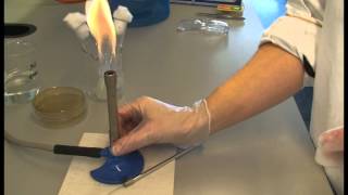 Aseptic techniques in the biology lab
