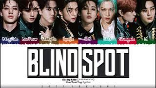 SKZ BLIND SPOT 1hour / 스키즈 사각지대 1시간 / Stray Kids BLIND SPOT 1時間耐久