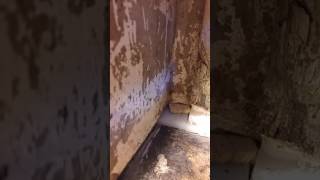 Raising the compression post on my 40' sailboat part 4 the end