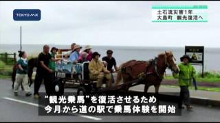 大島の“観光”復活を目指して