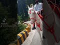sara din yaar yaar ay