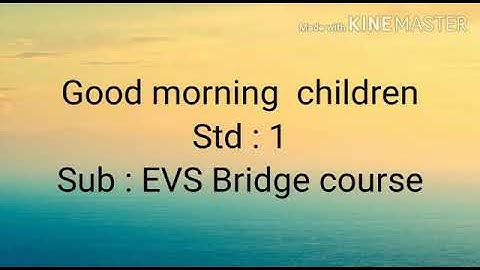 Std 1  Sub : EVS bridge course - Parts of a plant