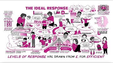 TBRI® Animate: The IDEAL Response©