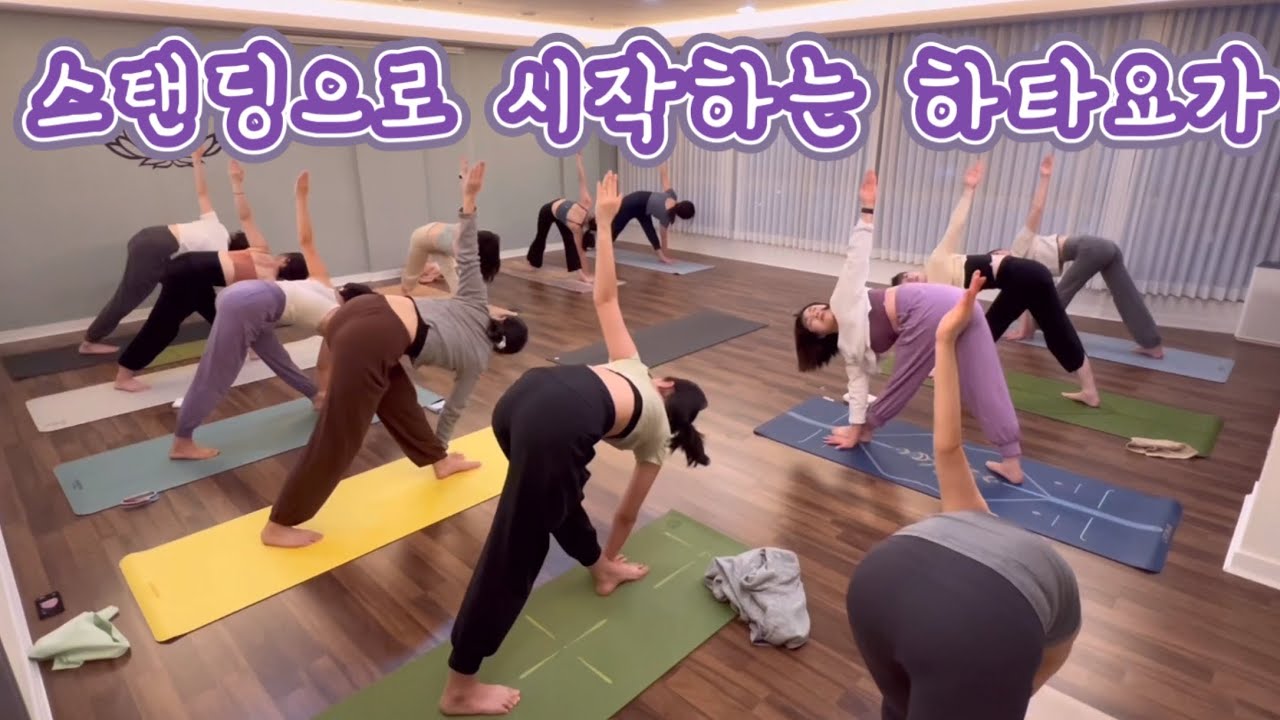 [엔젤요가]  스탠딩으로 시작하는 하타요가