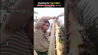 Chicken Screaming Ranking The Funniest Chicken Scream Moments 