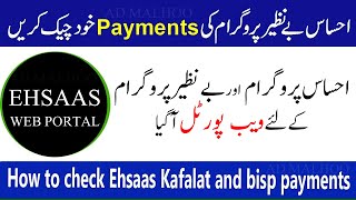 How to check BISP and Kafalat Payments portal | latest update screenshot 5