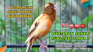 Kenari GACOR NGEREK‼️ Masteran Kenari PAUD dan Pancingan Kenari MACET BUNYI dan Betina NGIWIR - 85