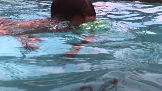 Ryder's Cannon Ball