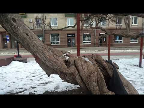 Крапивницкий (Кировоград)