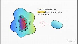 Class 9 Biology Chapter 7 | Substrate Concentration &amp; Enzyme