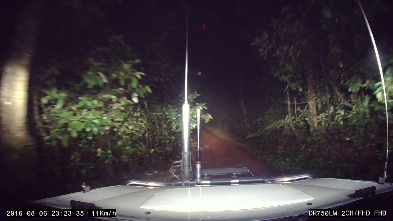 Border Ranges National Park at night