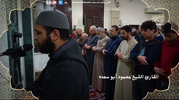 تلاوه خاشعه 25 | للقارئ الشيخ محمود أبو سعده الليله التاسعه رمضان 1446