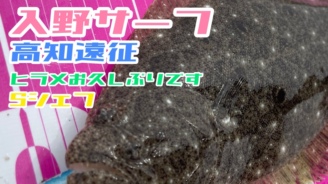 【ヒラメ釣り】【高知釣り】Sシェフの座布団ヒラメを求めて!!高知遠征編!!